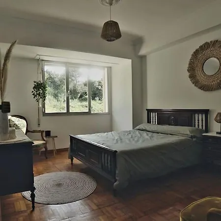 Primero Seixo Antiguo Holiday home *